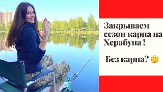 Закрываем сезон ловли карпа на Херабуна. Без карпа?! Озеро Королек. Киев.