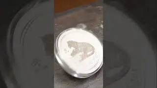 WORLD RECORD: LARGEST COIN SPIN!