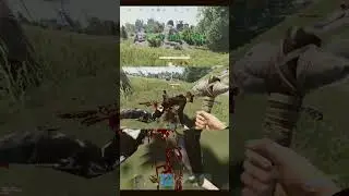 #rust