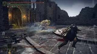 Commander Niall Full Fight - How to Get Veteran's Prosthesis and Left Haligtree Medallion