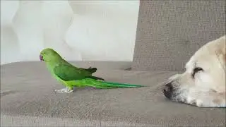 Скоро осень...