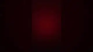 ١٩ مايو ٢٠٢٤