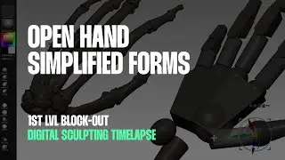 Sculpting Hands - Timelapse (Pose: Open hand)