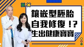 【精華版】不好的胚胎寶寶也能救！高/低鑲嵌型胚胎茂盛試管權威評比大解密！茂盛醫院