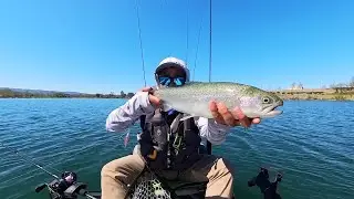 Testing the Nako FF01 Cormorant BFS Reel & Working the Drag