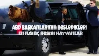 ABD Başkanlarının Besledikleri En İlginç Resmi Hayvanlar