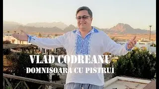 VLAD CODREANU - DOMNISOARA CU PISTRUI