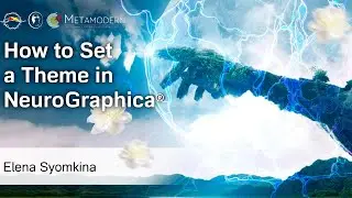 How to set a theme in NeuroGraphica?