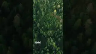 Не покидай его двери #islam #рекомендации #quran