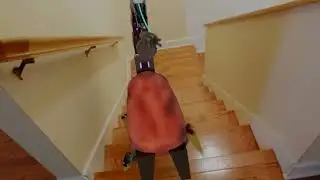 RoboScorpion (made in by me in blender)