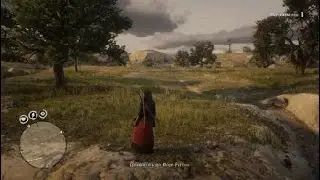 Где можно добыть мясо 🍗экзотической птицы в RDR Online?🐥