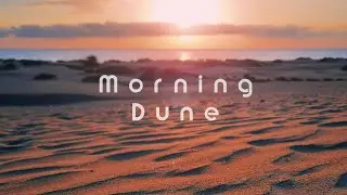 Morning Dune