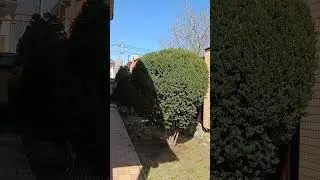 садовые работы