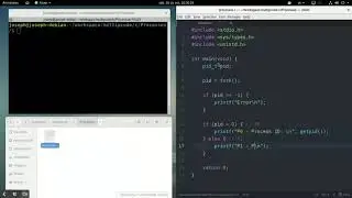 Processes in C - fork()