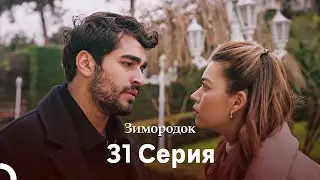 Зимородок 31 Cерия (Русский дубляж)(Длинная Bерсия)
