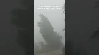 ️⚡ Перехват мощного шквала 