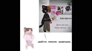 продолжайте#цепочка #мем #кот
