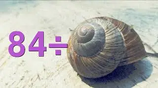 Calculations 25620