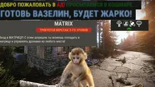 САМЫЙ СТРАННЫЙ ПВЕ СЕРВЕР В РАСТ ( RUST )