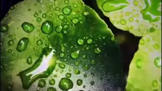 Bright colors printing!!FocusInc a3 Combo-Jet 3550 uv printer printing on metal sheet!
