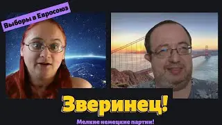 Кто хочет в Европарламент? Мелкие партии Германии. Евровыборы 2024 с Вадимом Фельдманом