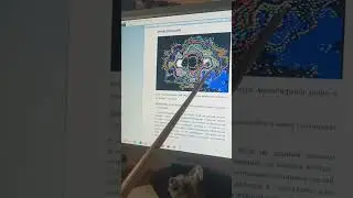 Галактика