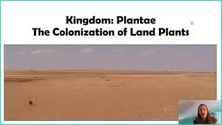 Introduction to Kingdom Plantae