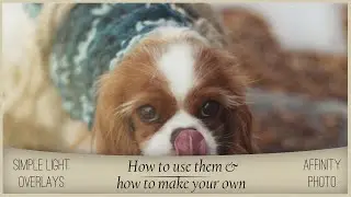 Simple Light Overlays: How to use them and make your own in Affinity Photo