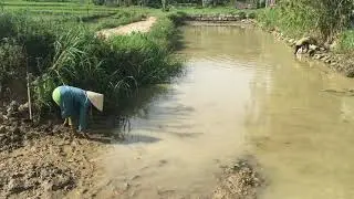 Đi Bắt Cua Đá Ven Ao Về Làm Món Bún Rươi Cua Người Thái | Anh Gồ Vlogs