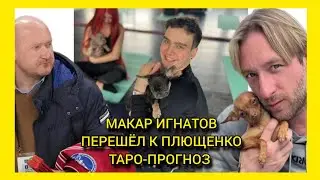 Карьера Макара Игнатова после перехода к Плющенко. Таро-прогноз