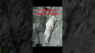 ibex kid's lessons II mountain goals