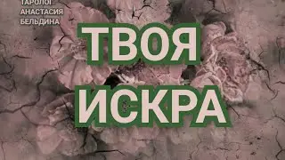 ТВОЯ ПОМОГАЮЩАЯ ИСКРА. 