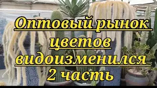 Оптовый рынок цветов .2 часть.