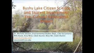 Good news at the Bushy Lake eco-cultural restoration