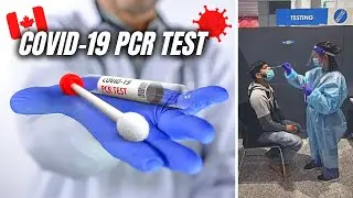 How To Book COVID 19 PCR Test in Canada 🧪 FlyClear by LifeLabs Tutorial 2024