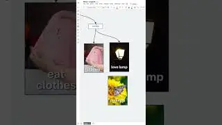 Moths Lucid Explains - SNEAK PEEK