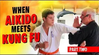 When AIKIDO Meets KUNG FU (Part Two)