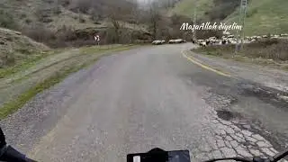Yolda Otlayan Koyunlar - 2024 NK 250 CFMoto #motovlog #travel #nature #250nk #cfmoto