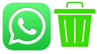 Comment supprimer son compte WhatsApp sur iPhone 2024