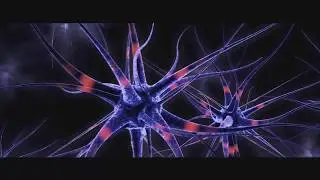 Stereo Art - Магия ночи