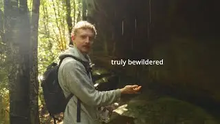 An unhinged nature vlog on mushrooms :)