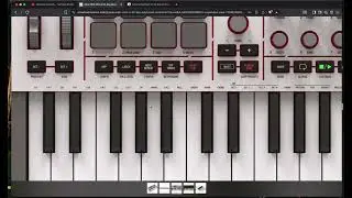 Akai Mpk Mini 4...I tried one in Guitar Center. My thoughts from owning many midi keyboards