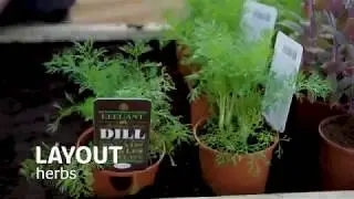 How To Plant Up A Raised Planter