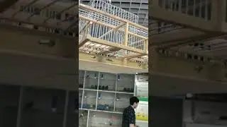 Птичий рынок 
