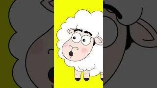 O Cão Vini encontra O Pastorinho! 🐑🐑 #shorts @radiorecreio