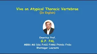 Atypical vertebrae in English