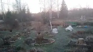 Последний в этом году репортаж с дачи. Перед отъездом.