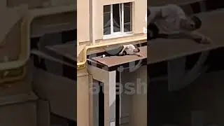 Когда услышал новый трек Енотта #shorts #music #musicanddance