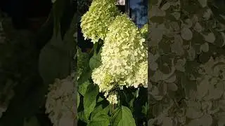 15 августа 2023 г.