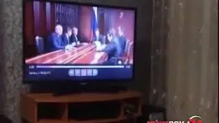 Медведь Медведев ведущая оговорилась в прямом эфире